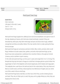 Red-eyed tree frog comprehension