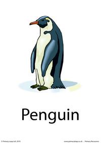Penguin flashcard 1