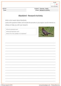 Research Activity - Blackbird