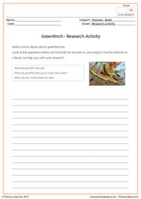 Research Activity - Greenfinches
