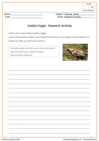 Research Activity - Golden Eagle
