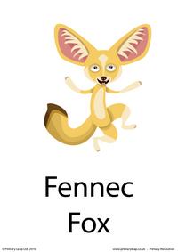 Fennec fox flashcard