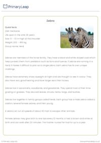 Zebra Reading Comprehension