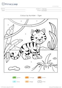 Colour By Number - Tiger