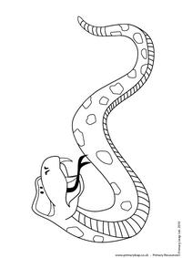 Rattlesnake colouring page