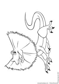 Frilled lizard colouring page