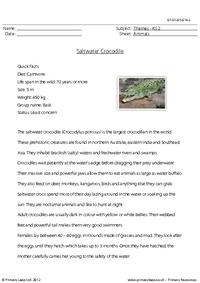 Reading comprehension - Saltwater crocodile