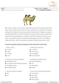 Bactrian camel comprehension