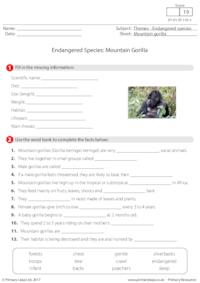 Endangered Species - Mountain Gorilla