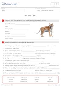 Endangered Species - Bengal Tiger
