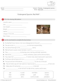 Endangered Species - Red Wolf