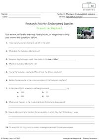 Research Activity - Sumatran Elephant