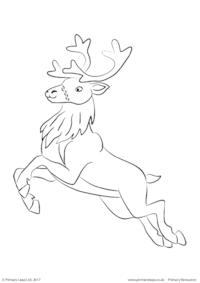 Colouring Picture - Reindeer
