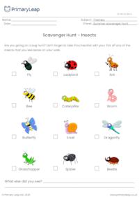 Scavenger Hunt - Insects
