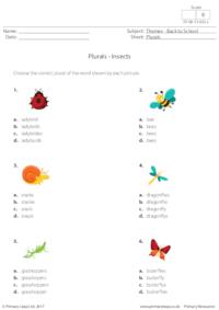 Plurals -  Insects