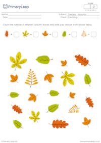 Autumn counting - How many leaves?