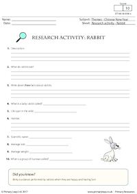 Research Activity - Rabbit