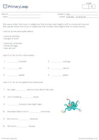 ESL worksheet - Articles 'a' and 'an'