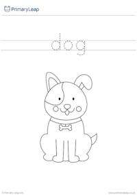 Trace and colour activity booklet - Pet theme