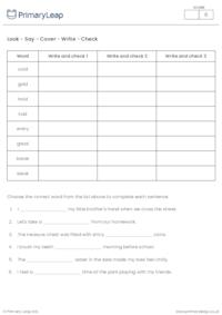 Year 2 Spelling Practice (set 3)