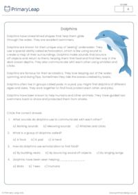 Dolphins Reading Comprehension