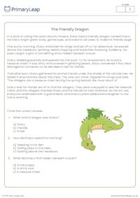The Friendly Dragon Reading Comprehension