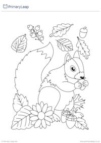 Thanksgiving Colouring Page - Squirrel Eating Acorns
