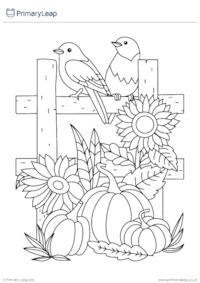 Thanksgiving Birds Colouring Page