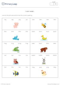 I Can Read Worksheet - Animals