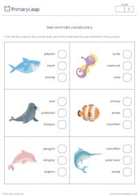 Sea Animals Vocabulary 2