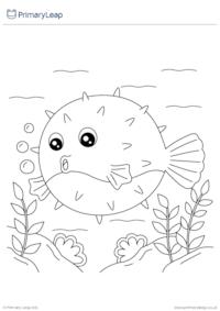 Pufferfish Colouring Activity