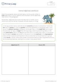 Animal Vocabulary: Adjectives and Nouns Practice