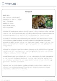 Leopard Reading Comprehension