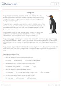 Penguins Reading Comprehension