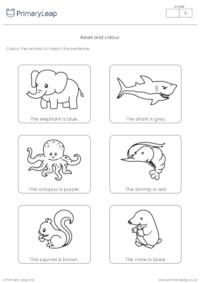 ESL Colour the Animals