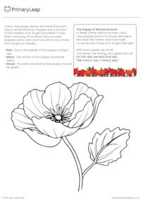 Poppy Colouring Page and Poem for Remembrance