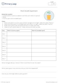 Plant Growth Experiment – Observing and Recording Results