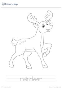 Colour and Trace - Reindeer