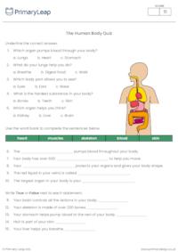 The Human Body Quiz