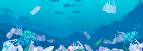 Geography: Plastic Pollution: Level 2 activity for kids | PrimaryLeap.co.uk