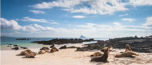 Geography: Galapagos Islands: Level 1 activity for kids | PrimaryLeap.co.uk