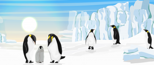 Geography: Antarctica 2: Level 1 activity for kids | PrimaryLeap.co.uk