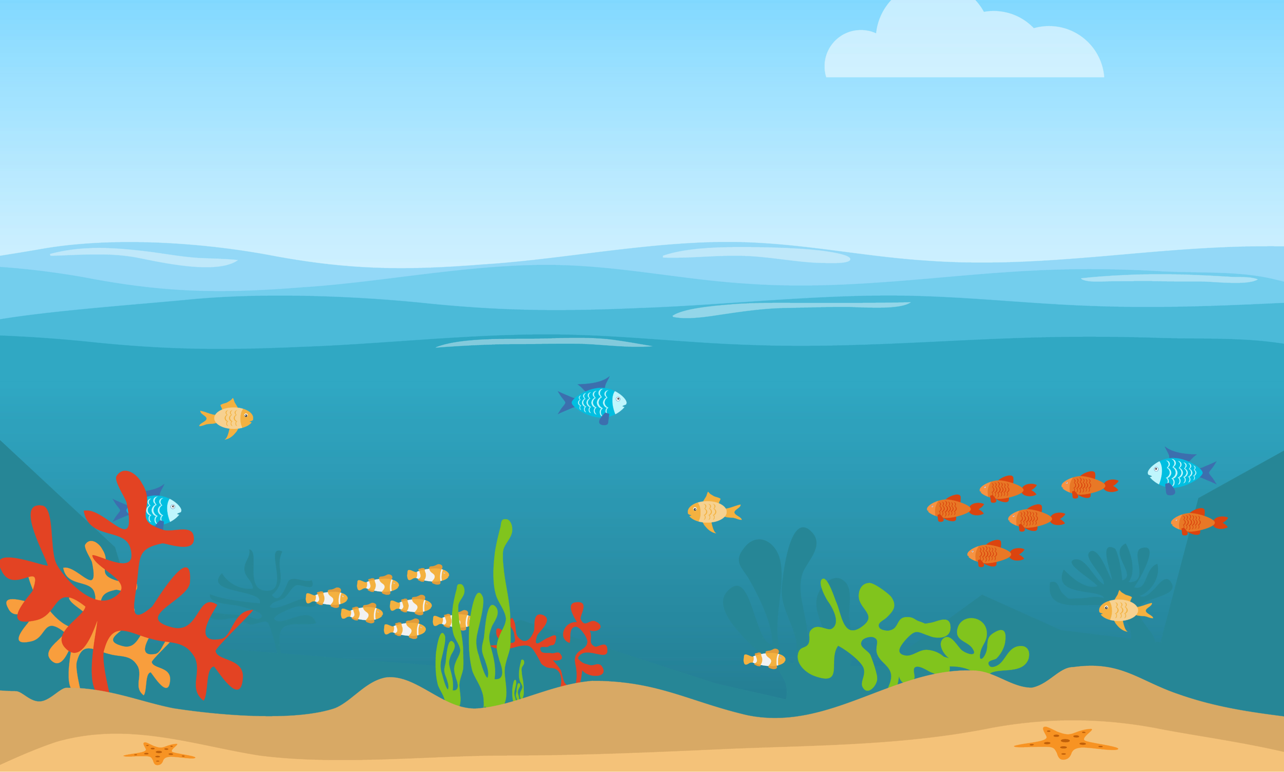 Biology: Fish: Level 2 activity for kids | PrimaryLeap.co.uk