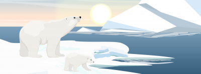 Geography: The Arctic: Level 1 activity for kids | PrimaryLeap.co.uk