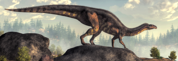 History: Plateosaurus: Level 1 activity for kids | PrimaryLeap.co.uk