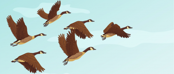 Biology Animal Migration Level 1 Activity For Kids PrimaryLeap co ukInformation On 