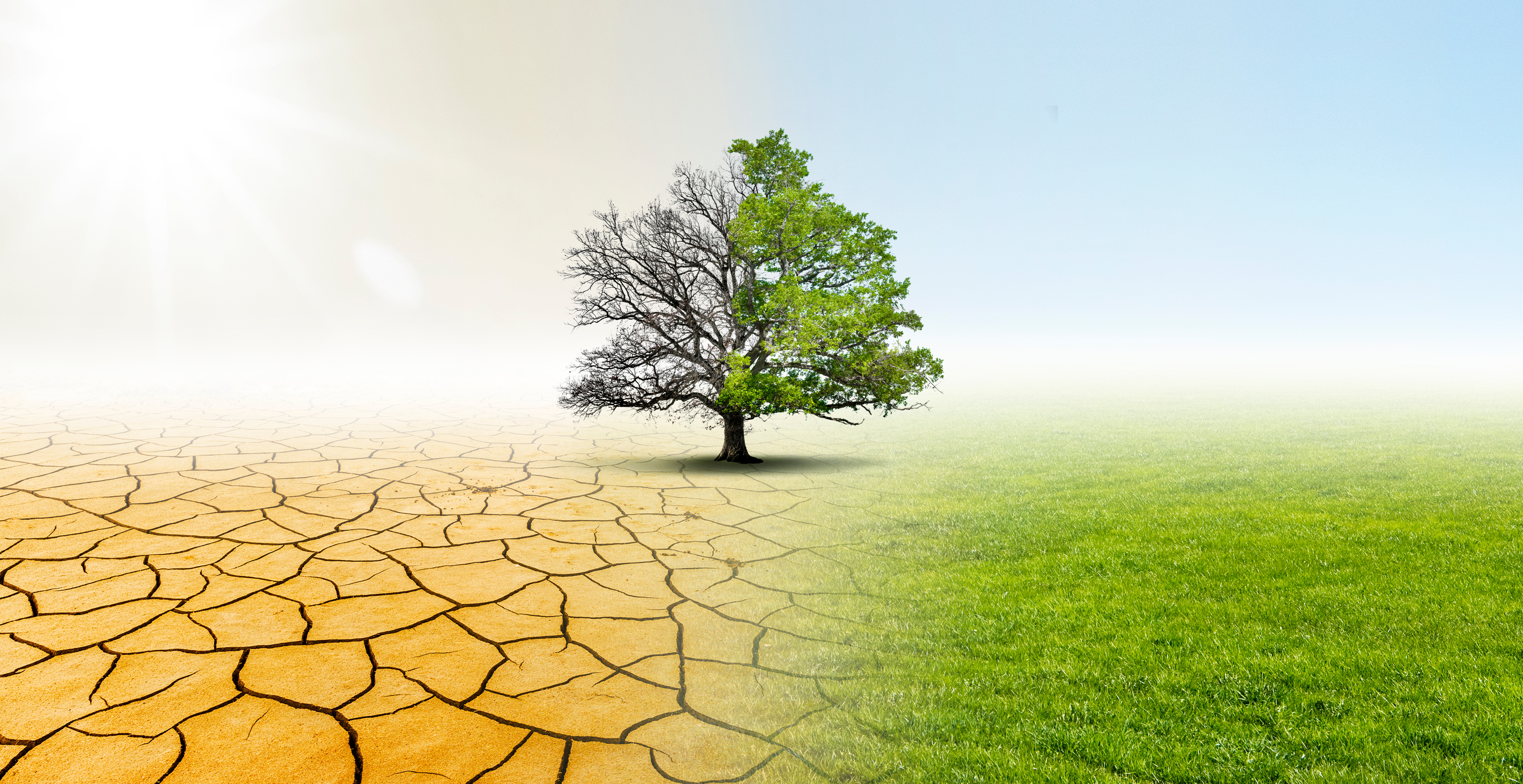 Geography: Droughts: Level 1 activity for kids | PrimaryLeap.co.uk