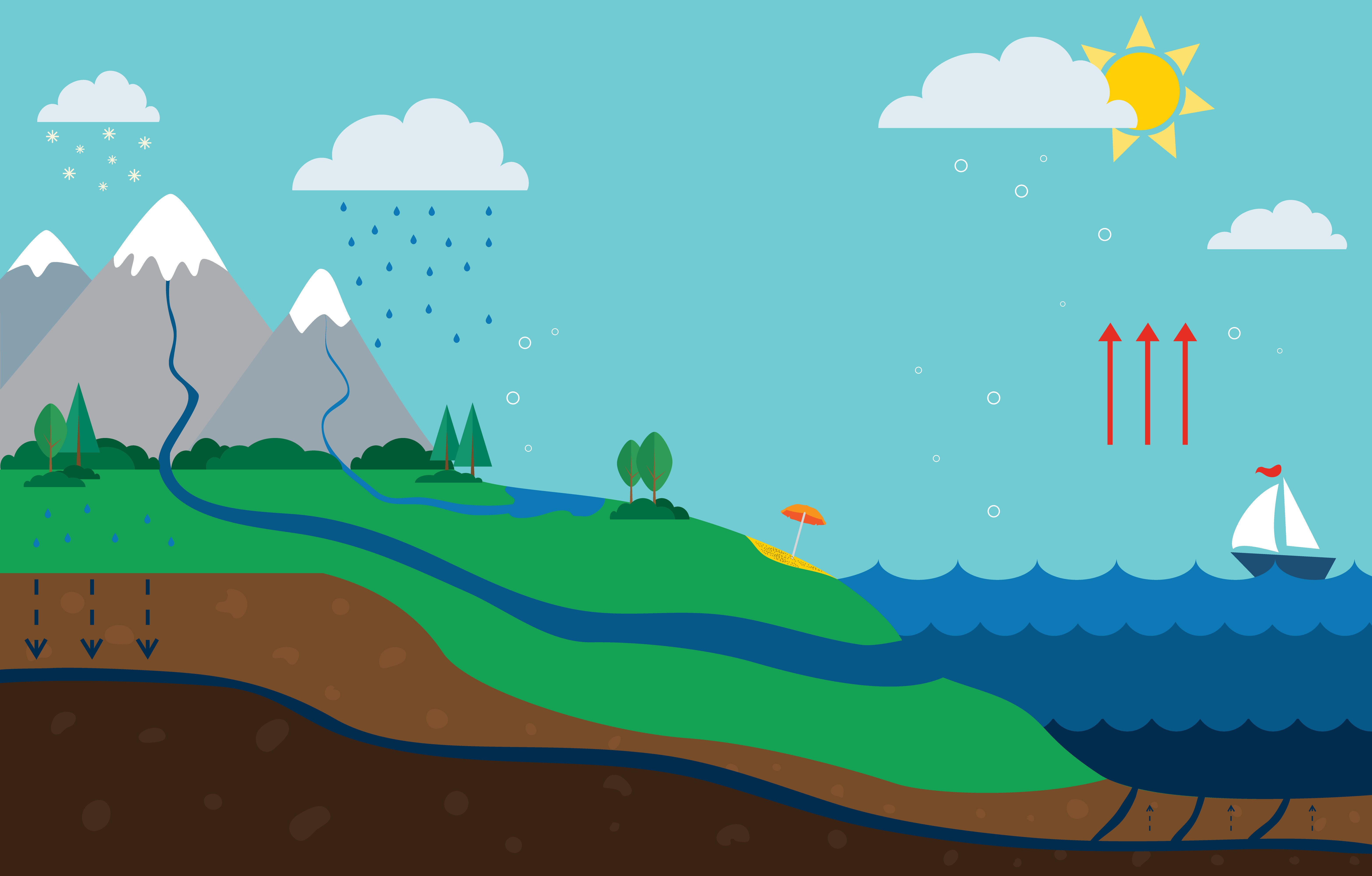 Chemistry: Evaporation: Level 1 activity for kids | PrimaryLeap.co.uk