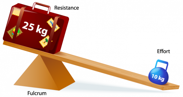 Physics: Levers Pulleys And Gears: Level 1 activity for kids