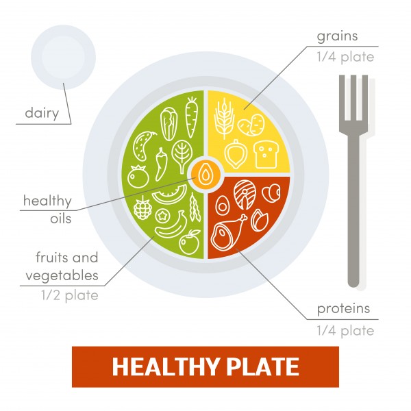 Biology: Healthy Diet: Level 1 activity for kids | PrimaryLeap.co.uk